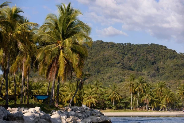 Kustlijn Tropical Costa Rica Rechtenvrije Stockfoto's