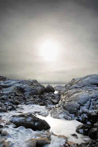 Foggy winter landscape — Stock Photo, Image