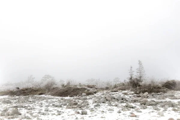 Paisagem de inverno nebulosa — Fotografia de Stock