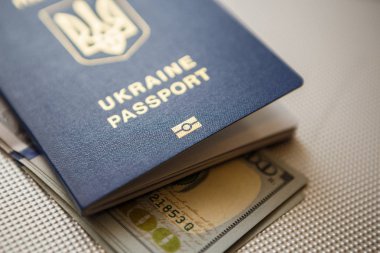 Çip kimliğine sahip yeni biyometrik Ukrayna pasaportu