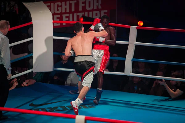 Moskau März 2016 Großer Boxkampf Die Zukunft Der Halle Zwei — Stockfoto