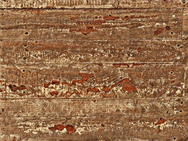 Sanatsal özel arka plan illüstrasyon tasarımı için