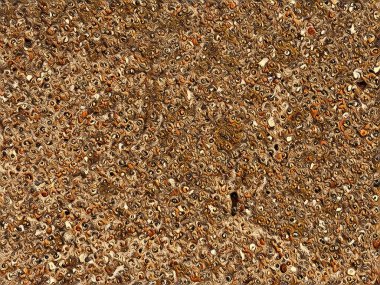 Özel illüstrasyon tasarımı için arka plan duvar kağıdı