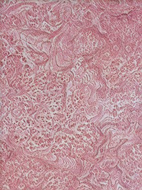 Özel illüstrasyon tasarımı için arka plan duvar kağıdı