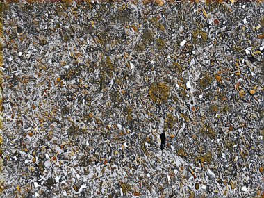 Özel illüstrasyon tasarımı için arka plan duvar kağıdı