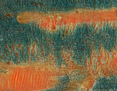 Özel illüstrasyon tasarımı için arka plan duvar kağıdı