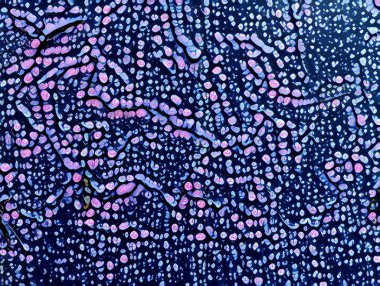 Yaratıcı arka plan deseni için afiş tasarımı