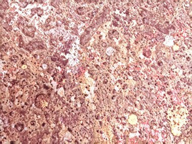 Yaratıcı arka plan deseni için afiş tasarımı