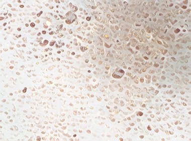 Yaratıcı arka plan deseni için afiş tasarımı