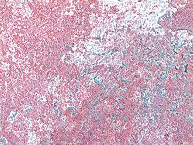 Özel afiş tasarımı için yaratıcı arka plan dokusu. Benzersiz tasarım desen 