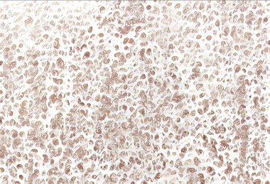 Yaratıcı tasarımcı arka plan afiş tasarımı için