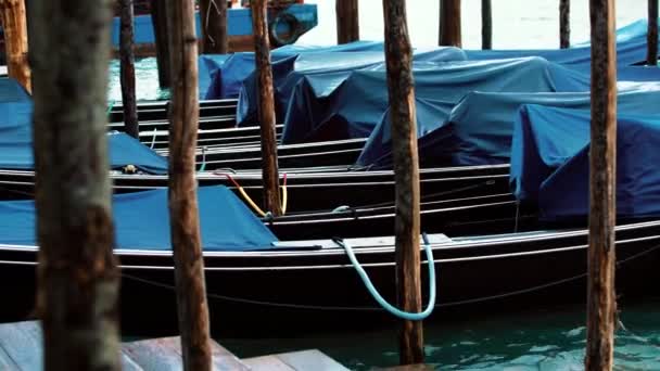 Barcos Góndola Venecianos Tradicionales Atados Muelle Gran Canal Cerca Del — Vídeo de stock
