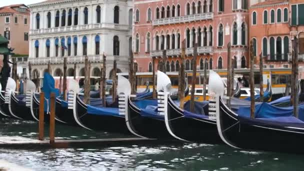 Венеція Італія Травня 2019 Декоровані Гондоли Гранд Канал Традиційний Венетійський — стокове відео