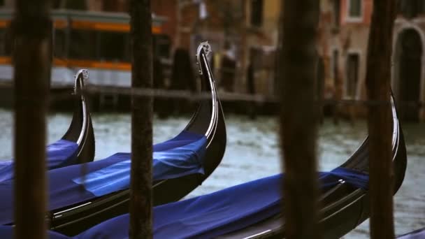 Traditional Venetian Gondola Boats Tied Pier Grand Canal Rialto Bridge — Stok video