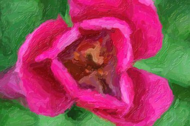 Bahar tarlasında açan güzel Hollanda çiçekleri.