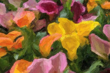 Bahar tarlasında açan güzel Hollanda çiçekleri.