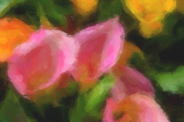 Bahar tarlasında açan güzel Hollanda çiçekleri.