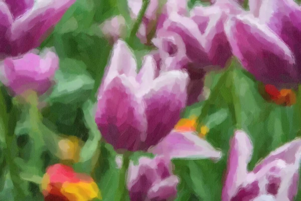 春の畑に咲く蘭の花を描いた美しい油 — ストック写真