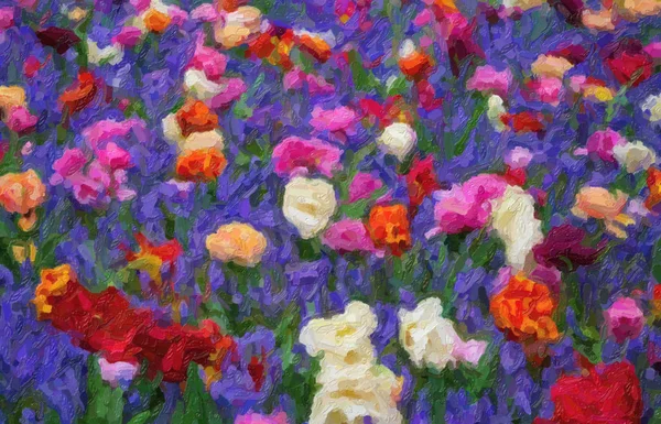 Piękny olej malowane holenderskie kwiaty kwitnące w polu wiosny — Zdjęcie stockowe