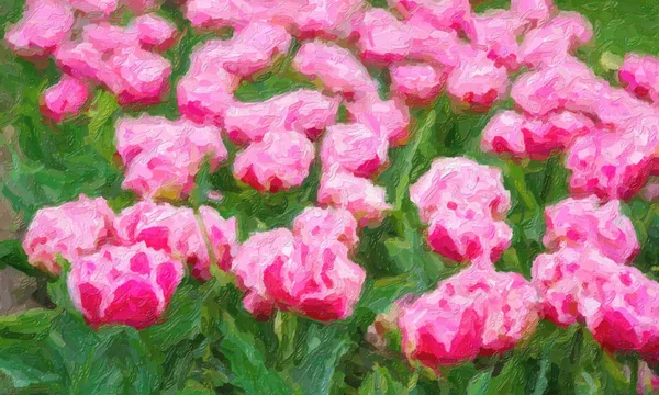 Magnifiques fleurs hollandaises peintes à l'huile fleurissant au printemps — Photo