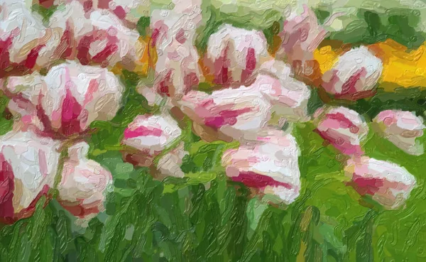 Mooie olie geschilderde Nederlandse bloemen bloeien in het voorjaar veld — Stockfoto
