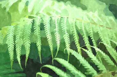 Yeşil botanik bahçesi bitkileriyle suluboya resimleri. Tropiklerde ekilen ve büyüyen egzotik bitkiler. Arka plan tasarımı için tuvale su boyası ile boyanmış yeşil yapraklar.