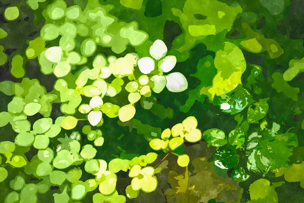 Akvarell Festészet Illusztráció Zöld Botanikus Kerti Növények Egzotikus Növény Termesztett — Stock Fotó
