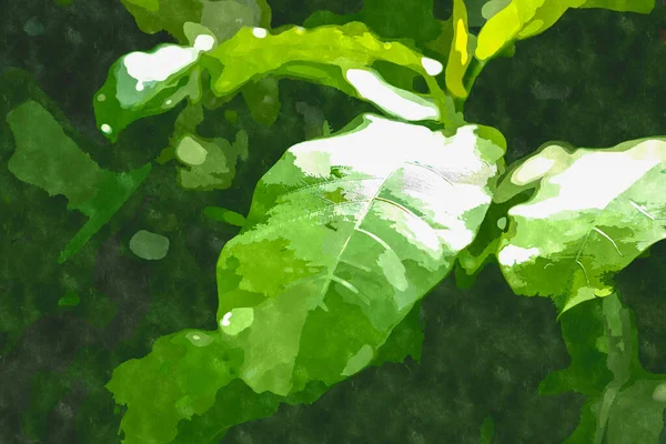 Akvarellmålning Illustration Med Gröna Botaniska Trädgårdsväxter Exotisk Växt Odlas Och — Stockfoto