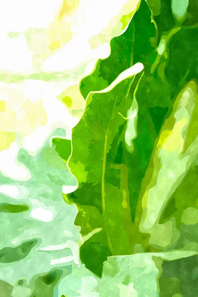 Ilustracja Malarstwa Akwarelowego Zielonymi Roślinami Botanicznymi Egzotyczna Roślina Uprawiana Rośnie — Zdjęcie stockowe