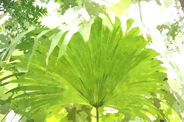 Ilustración Pintura Acuarela Con Plantas Jardín Botánico Verde Planta Exótica —  Fotos de Stock