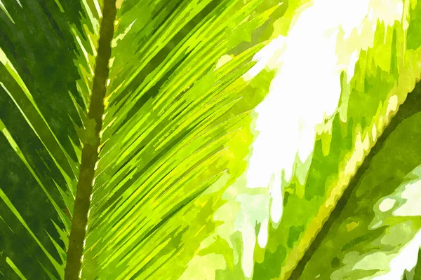 Ilustración Pintura Acuarela Con Plantas Jardín Botánico Verde Planta Exótica —  Fotos de Stock