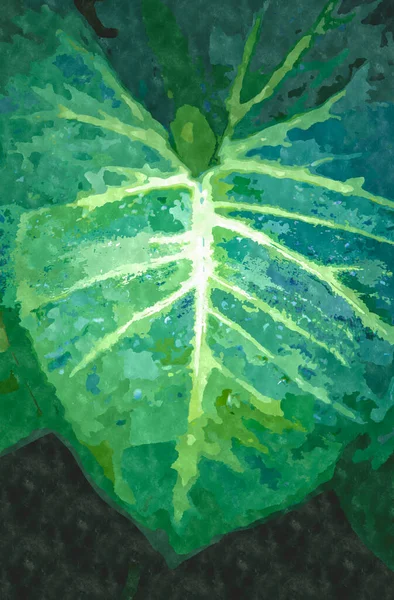 緑の植物園植物と水彩画のイラスト エキゾチックな植物が栽培され 熱帯で成長しています — ストック写真