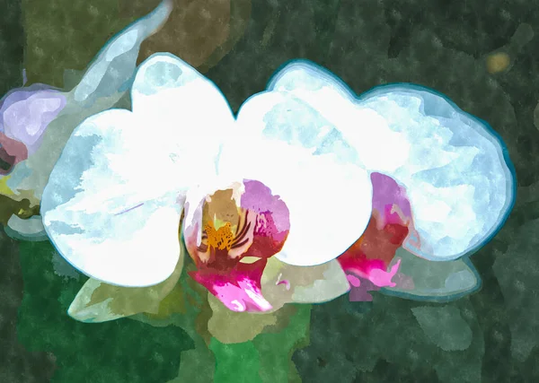 Aquarela Flor Pintura Illustration Exotic Flores Florescendo Jardim Botânico Primavera — Fotografia de Stock
