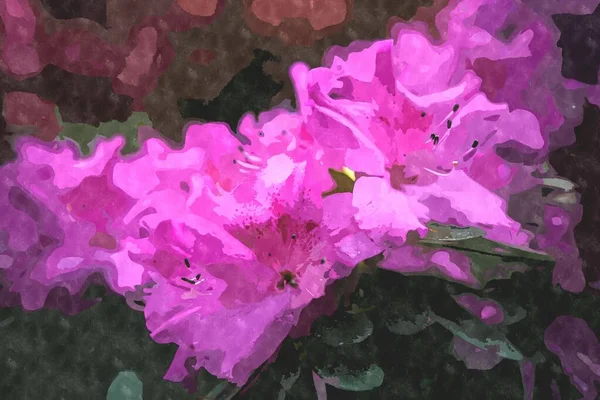 Живопись Акварелью Цветок Иллюстрация Экзотические Цветы Цветут Ботаническом Саду Весной — стоковое фото