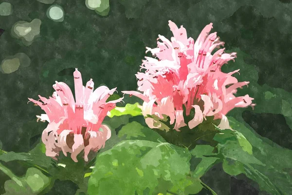 Illustration Peinture Fleur Aquarelle Fleurs Exotiques Fleurissant Dans Jardin Botanique — Photo