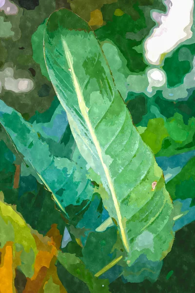 带有绿色植物园植物的水彩画插图 生长在热带环境中的异国植物 背景设计用水彩画的绿叶 — 图库照片