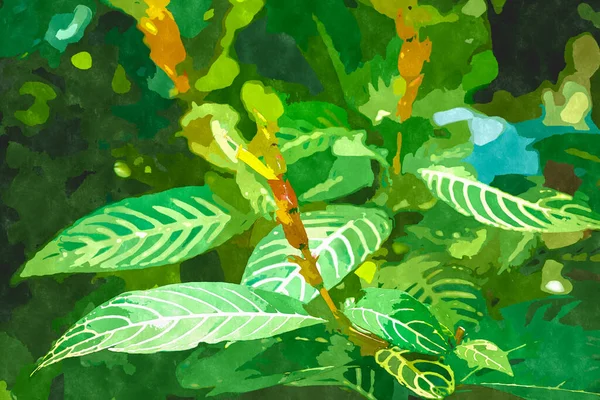緑の植物園植物と水彩画のイラスト エキゾチックな植物が栽培され 熱帯で成長しています — ストック写真