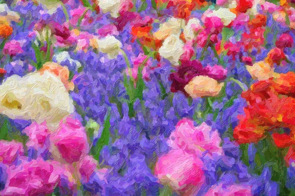 Jardin Fleurs Tulipes Aux Pays Bas Belles Plantes Décoratives Fleurissent — Photo