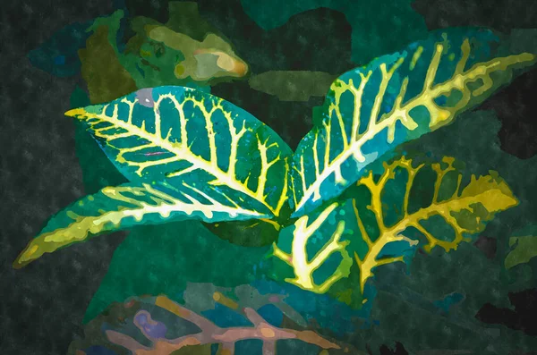 Ilustración Pintura Acuarela Con Plantas Jardín Botánico Verde Planta Exótica —  Fotos de Stock