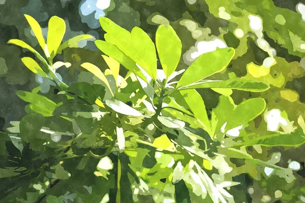 緑の植物園植物と水彩画のイラスト エキゾチックな植物が栽培され 熱帯で成長しています — ストック写真