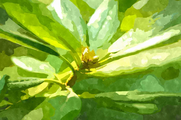 Ilustración Pintura Acuarela Con Plantas Jardín Botánico Verde Planta Exótica —  Fotos de Stock