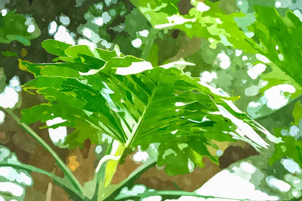 Pittura Acquerello Illustrazione Con Piante Giardino Botaniche Verdi Pianta Esotica — Foto Stock