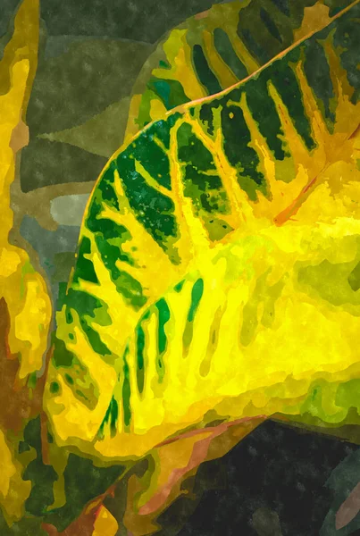 Ilustracja Malarstwa Akwarelowego Zielonymi Roślinami Botanicznymi Egzotyczna Roślina Uprawiana Rośnie — Zdjęcie stockowe