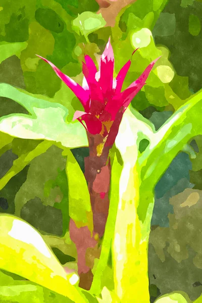 Acuarela Flor Pintura Ilustración Flores Exóticas Que Florecen Jardín Botánico — Foto de Stock