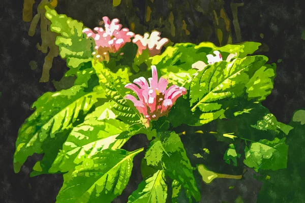 Illustration Peinture Fleur Aquarelle Fleurs Exotiques Fleurissant Dans Jardin Botanique — Photo