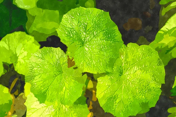 Pittura Acquerello Illustrazione Con Piante Giardino Botaniche Verdi Pianta Esotica — Foto Stock