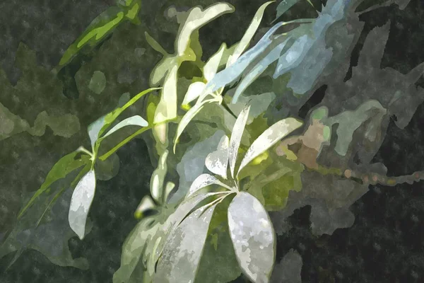 Иллюстрация Акварельной Живописи Зелеными Растениями Ботанического Сада Экзотические Растения Выращиваются — стоковое фото