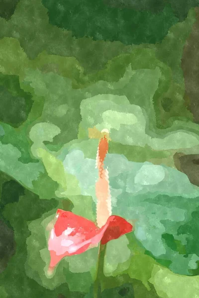 春の植物園に咲くエキゾチックな花ポスターやポストカードのデザインのためのキャンバス上の水の色で描かれた美しい花の壁紙 — ストック写真