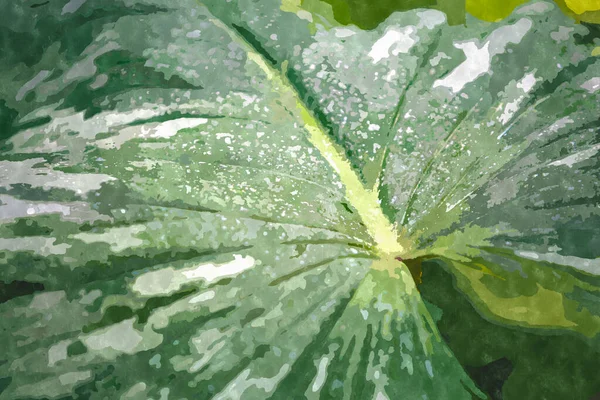Watercolor painting illustration with green botanical garden plants.Exotic plant cultivated and growing in tropics.Green leaves painted with water color paint on canvas for background design