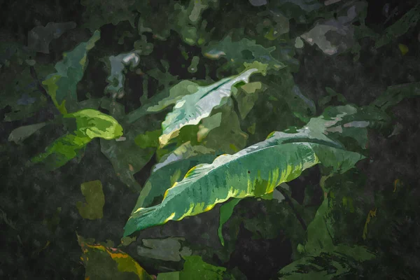 Ilustração Pintura Aquarela Com Plantas Botânicas Verdes Jardim Planta Exótica — Fotografia de Stock